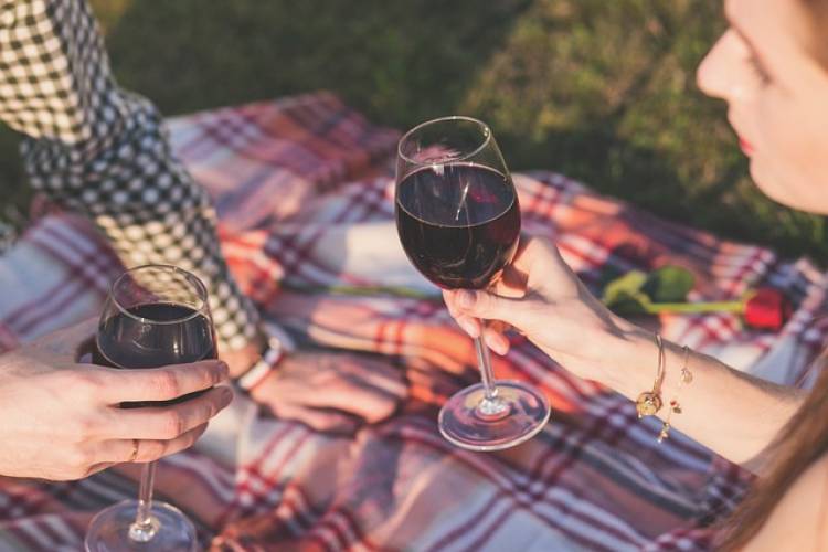 A couple shares two glasses of red wine on a picnic blanket